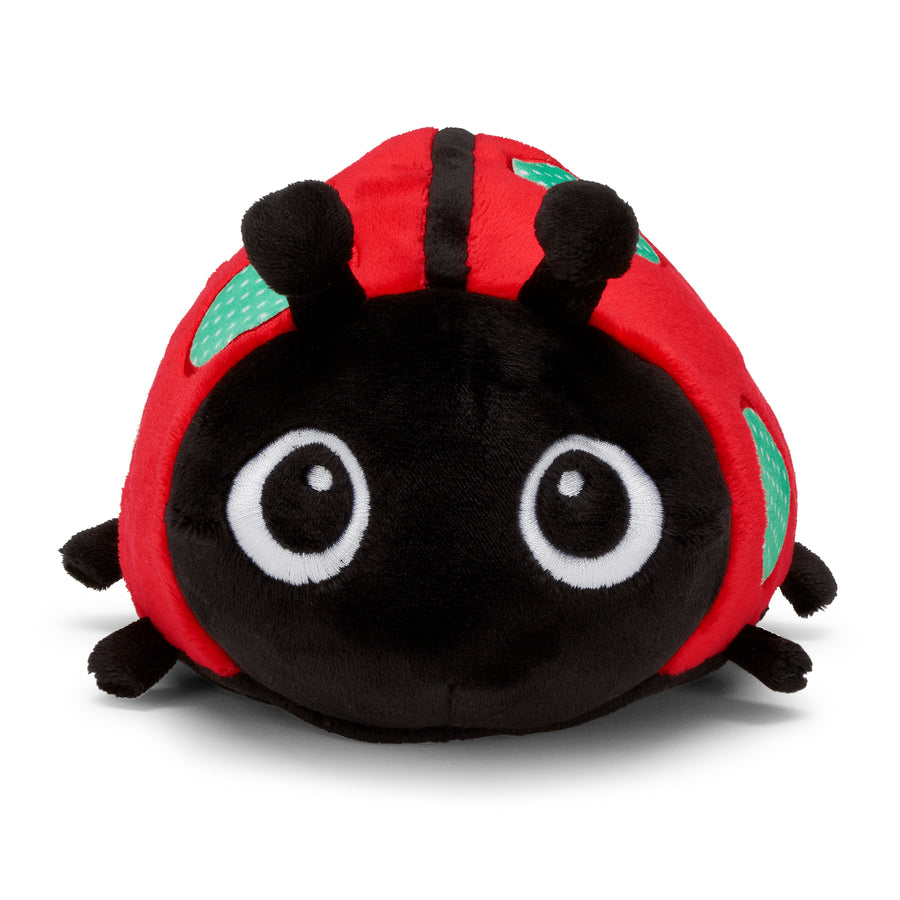 Lily the Ladybug